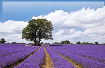 Platrerie en Drôme Ardèche