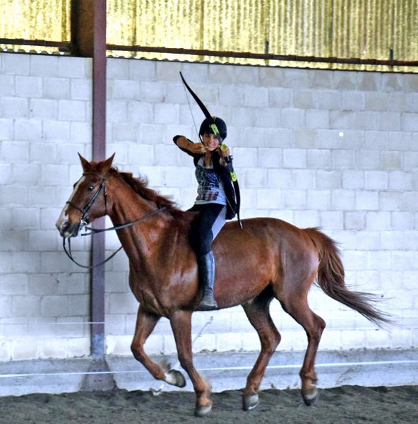 Centre équestre et poney club à Lugan – Sport et loisirs